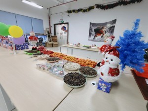 “多國風采、別具風格”的的圣誕節活動